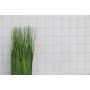 MOSAIK WELSCHEIT ARKITEKTUR WHITE GLOSSY 29,8X29,8CM PRIS/ARK