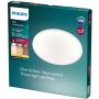 LED-PLAFOND PHILIPS CL550 SS RD VIT