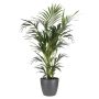 PLASTKRUKA ELHO BRUSSELS ROUND Ø18CM ANTRACIT
