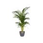 PLASTKRUKA ELHO BRUSSELS ROUND Ø18CM ANTRACIT