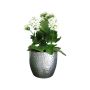 INOMHUSKRUKA KERAMIK BOSTON 16CM METALLIC SILVER BLANK