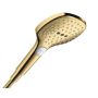 HANDDUSCH HANSGROHE RAINDANCE SELECT E120 POLERAD GULD