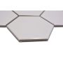MOSAIK WELSCHEIT HEXAGON WHITE GLOSSY 25,6X29,5CM PRIS PER ARK