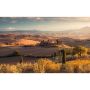 FOTOTAPET KOMAR TOSKANA