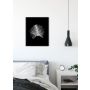 POSTER KOMAR FEATHER 40X50CM BLACK