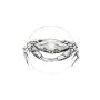 POSTER KOMAR CRAB WHITE 30X40CM