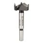CENTRUMBORR BOSCH PROFESSIONAL HM 35X90MM 