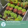 STARTSET GARDENA MICRO-DRIP-SYSTEM PALLKRAGAR 35 PLANTOR