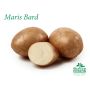SÄTTPOTATIS STUBBESTORP MARIS BARD TIDIG 1KG