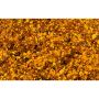 HÄCK HÄGGMISPEL SPICATA 50-80CM 100-PACK BARROT