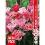 HÖSTLÖK TULIPA FOREVER PINK 20ST
