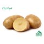 SÄTTPOTATIS STUBBETORP TAISIYA TIDIG 1KG