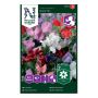 BLOMFRÖ NELSON GARDEN LUKTÄRT ROYAL MIX STORPACK