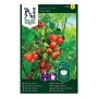 GRÖNSAKSFRÖ NELSON GARDEN KÖRSBÄRSTOMAT TINY TIM