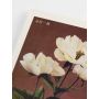 POSTER POSTERY HÆRDACEOUS PEONY BY OGAWA KAZUMASA 50x70CM