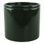 INOMHUSKRUKA PIARDINO SILJA DARK FOREST Ø14CM GRÖN