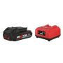 BATTERIKIT SKIL 3110AA 20V 1X2,5AH