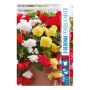 VÅRLÖK BEGONIA MIX 3ST