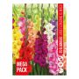 VÅRLÖK GLADIOLUS MIX 25ST