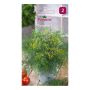 GRÖNSAKSFRÖ PIARDINO DILL COMPACT 