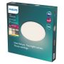 PLAFOND PHILIPS OZZIET 18W VIT