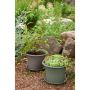 PLASTKRUKA ORTHEX BOTANICA RECYCLED 40CM OLIVGRÖN