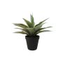 KONSTVÄXT EMERALD AGAVE 19CM GRÖN