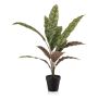 KONSTVÄXT EMERALD CALATHEA 60CM