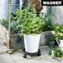 BLOMVAGN WAGNER Ø29CM ANTIK 