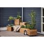 PLANTERINGSLÅDA WIMEX TERMOTRÄ 960X1182X482MM                                  