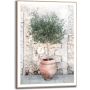 TAVLA REINDERS OLIVE TREE SLIM FRAME 50X70CM TRÄ