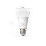 STARTPAKET PHILIPS HUE A60 A6 E27 8,1W + DIMMER SWITCH + BRIDGE PRO             