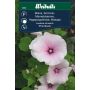 BLOMFRÖ WEIBULLS MALVA  SOMMAR PINK BLUSH