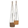 AMPEL SCHEURICH SJÖGRÄS Ø17CM NATUR