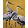 FOTOTAPET KOMAR YELLOW CRANES