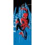 FOTOTAPET KOMAR SPIDERMAN ROOFTOP
