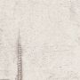 TAPET A.S CREATION COSMO LIVING BETONG LJUSGRÅ