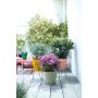UTOMHUSKRUKA ELHO LOFT URBAN ROUND Ø50CM GRÖN