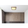 PLAFOND GLOBO XAVVI LED NATUR