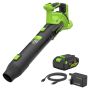LÖVBLÅS GREENWORKS BL24515A2 POWERALL 24V 1X4,0AH