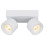 TAKSKENA GLOBO RAE 2X6W LED VIT