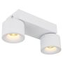 TAKSKENA GLOBO RAE 2X6W LED VIT