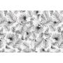 FÖNSTERFILM D-C FIX BOTANICALS 45X150CM