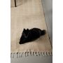 ULLMATTA VENTURE HOME LOKE 350X250CM BEIGE 