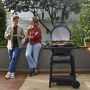 ELGRILL CHAR-BROIL PATIO BISTRO E2COAL 2100W