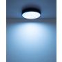 PLAFOND GLOBO JESS Ø39CM SVART