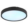 PLAFOND GLOBO JESS Ø39CM SVART
