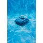 POOLROBOT BESTWAY RAKER A300