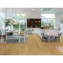 LAMINATGOLV PERGO CLEAR OAK 1-STAV 3,444M²/PKT
