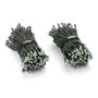 LJUSSLINGA TWINKLY WIFI BLUETOOTH RGBW 32M  